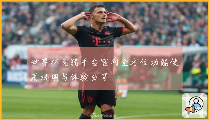 世界杯竞猜平台官网全方位功能使用说明与体验分享
