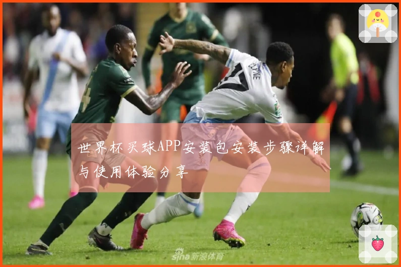 世界杯买球APP安装包安装步骤详解与使用体验分享