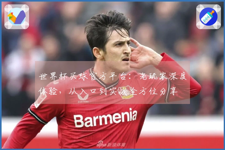 世界杯买球官方平台：老玩家深度体验，从入口到实战全方位分享