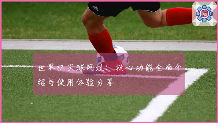 世界杯买球网址：核心功能全面介绍与使用体验分享