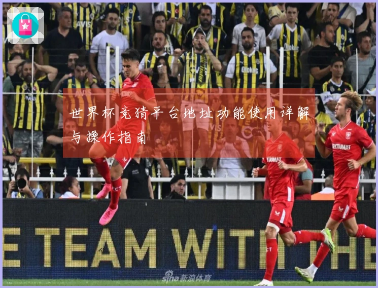世界杯竞猜平台地址功能使用详解与操作指南