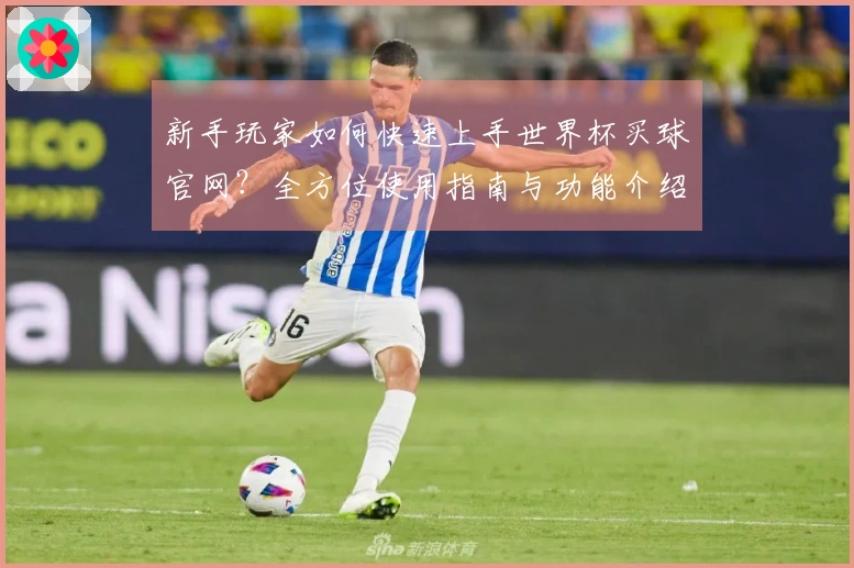新手玩家如何快速上手世界杯买球官网？全方位使用指南与功能介绍