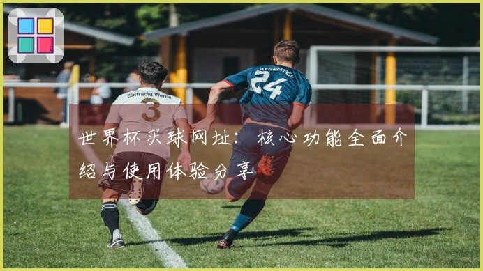 世界杯买球网址：核心功能全面介绍与使用体验分享