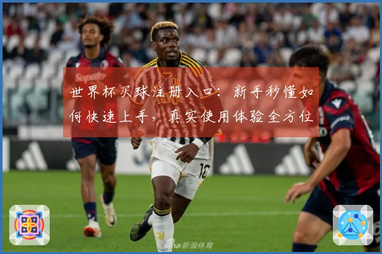 世界杯买球注册入口：新手秒懂如何快速上手，真实使用体验全方位比拼